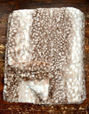 Adult Tan Fawn Minky on Minky Blanket