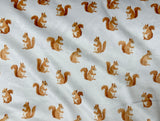 Baby Squirrel Minky Fur Blanket