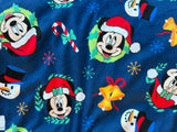 Adult Mickey Mouse and friends Minky Fur Blanket