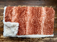 Adult Carmel Fawn Minky on Fur Blanket