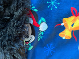Adult Mickey Mouse and friends Minky Fur Blanket