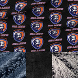 Pre Order Travel Williston Sea Lions Swim Team Minky Fur Blanket