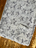 Adult Stars Minky on Minky Blanket
