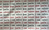 Adult Santa Letter Minky Fur Blanket