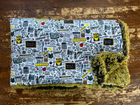 Adult School Minky Fur Blanket