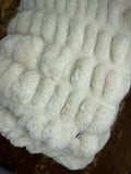 Adult Enzo Ivory Minky on Minky Blanket