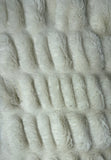 Adult Enzo Ivory Minky on Minky Blanket