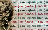 Adult Santa Letter Minky Fur Blanket