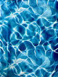 Adult Water Minky Fur Blanket
