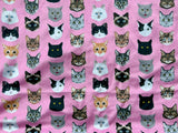 Mini Baby Kitty Cat Minky Fur Blanket